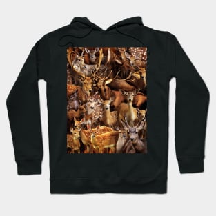 Deers Hoodie